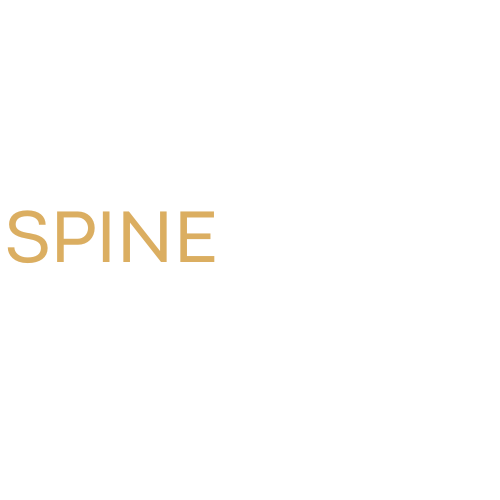 spine-temple.com